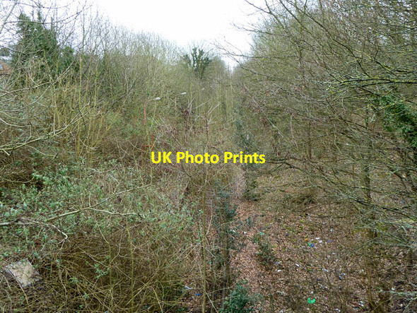 Photo 6"x4" Watford West station (believe it or not!) Watford\/TQ1097 c2013
