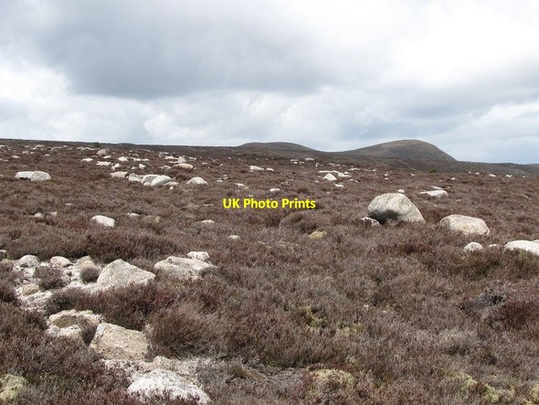 Photo 6"x4" Heather and boulders on the plateau east of Finlieve Attical c2011