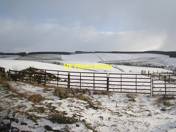 Photo 6"x4" Winter at Hoardweel Preston\/NT7957 c2013