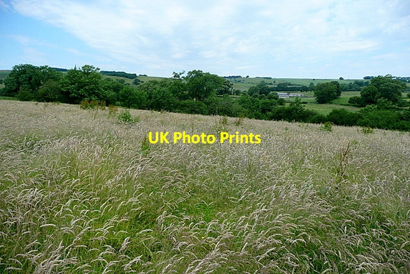 Photo 6"x4" Meadow near Parwich Lees Parwich c2012