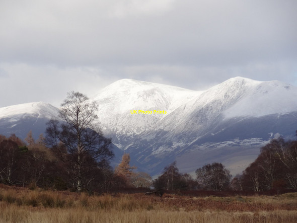 Photo 6"x4" Heathland near Derwentwater Grange\/NY2517 c2013