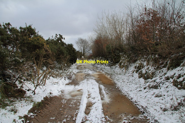 Photo 6"x4" Bridleway to Knaplock North Batsom c2013