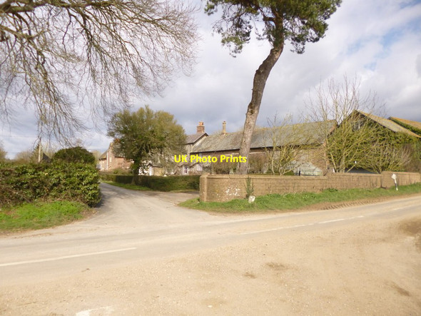 Photo 6"x4" Puddletown, Druce Farm Northbrook\/SY7594 c2013