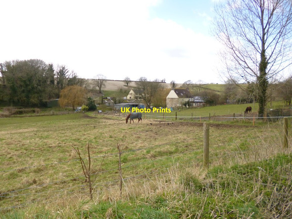 Photo 6"x4" Cheselbourne, horse grazing Cheselbourne c2013