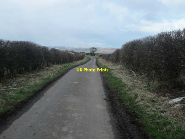 Photo 6"x4" Country road north of Murton White House East Ord c2013