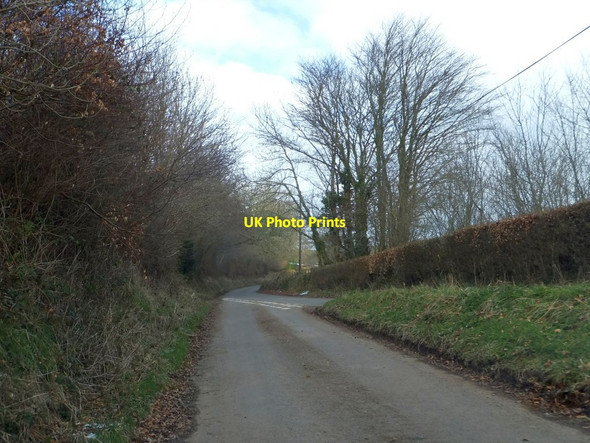 Photo 6"x4" Woodland at Little Haddon Skilgate c2013