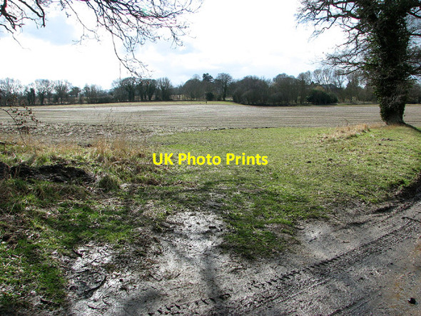 Photo 6"x4" Fields east of Briar Lane, Hales Hales\/TM3897 c2013