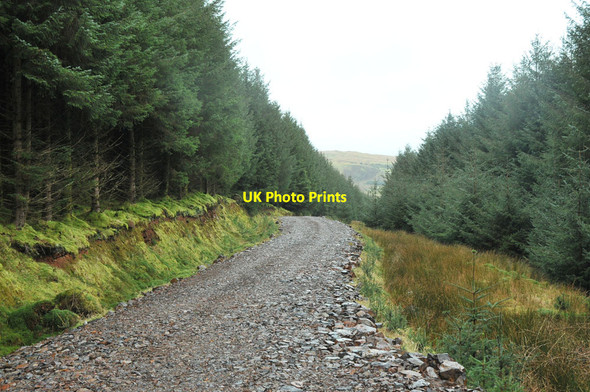 Photo 6"x4" Forestry road near Killellan Cnoc nan Gabhar\/NR6614 c2013