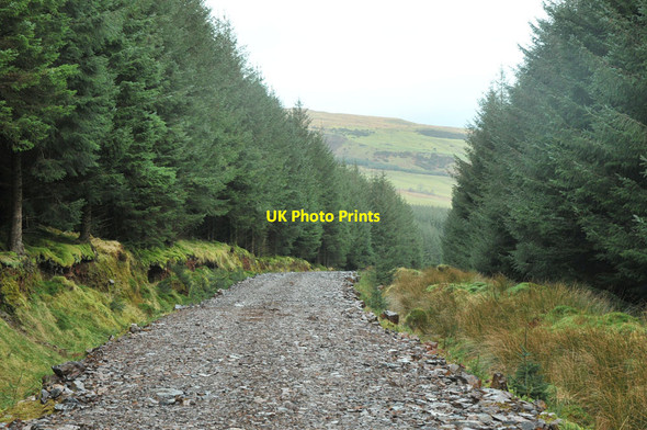 Photo 6"x4" Forestry road near Killellan Cnoc nan Gabhar\/NR6614 c2013