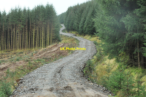Photo 6"x4" Forestry road near Killellan Homeston c2013