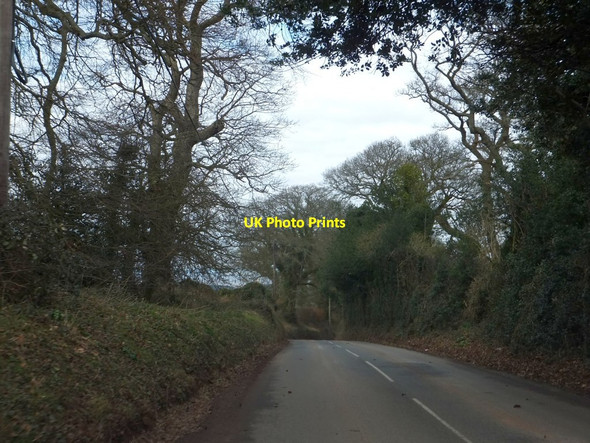 Photo 6"x4" The northern edge of Kings Wood Chidgley c2013