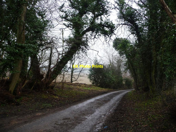 Photo 6"x4" Binsoe Lane Binsoe c2013