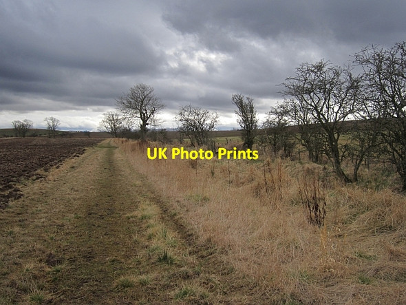 Photo 6"x4" Path to Duddo Grindon\/NT9144 c2013