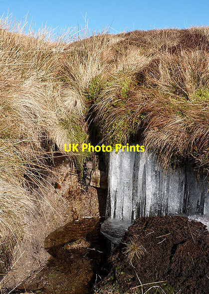 Photo 6"x4" Icicles at Cowie Cleuch Craigierig c2013