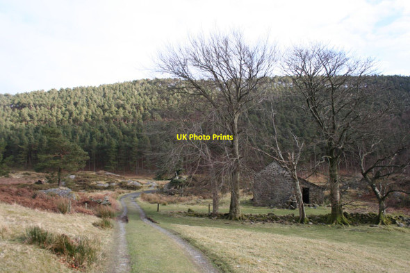 Photo 6"x4" Barn north of Llyn Geirionydd Trefriw c2013