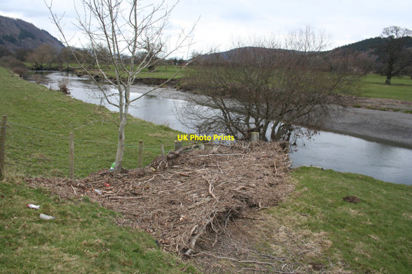 Photo 6"x4" Flood debris alongside the Conwy Llanrwst c2013