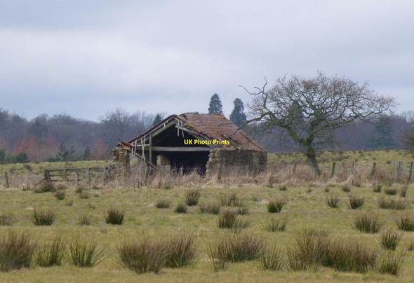 Photo 6"x4" Derelict farm building Causey Park Bridge c2013