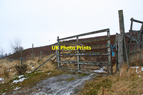 Photo 6"x4" Gate, Shenval Wood Glenlivet c2013