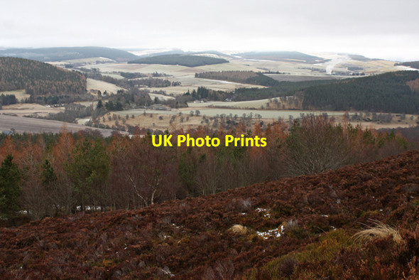 Photo 6"x4" View over Shenval Wood towards Glenlivet Glenlivet c2013