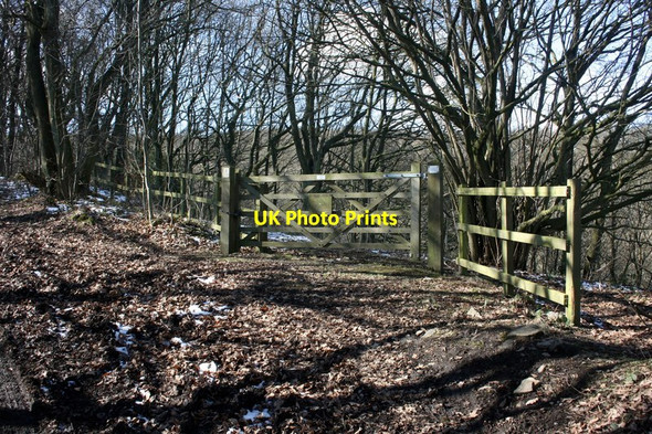 Photo 6"x4" Entrance to Burrs Wood Moorhall\/SK3074 c2013