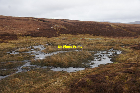 Photo 6"x4" Head of Smirlees Dale Burrafirth c2013