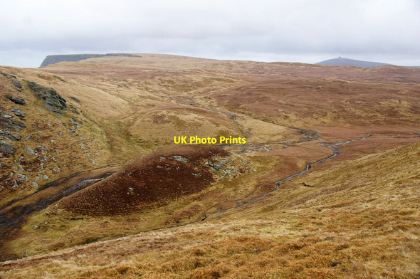 Photo 6"x4" Cat Houll, Hermaness Burrafirth c2013