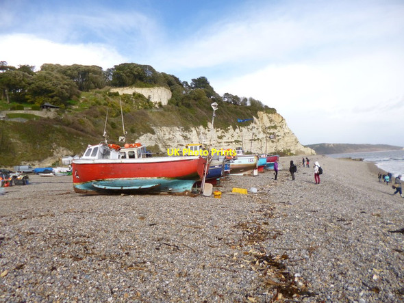 Photo 6"x4" Beer, fishing boats Seaton\/SY2490 c2013