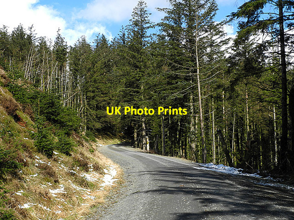 Photo 6"x4" Forestry road by Bryn-llwyd Cwmystwyth c2013