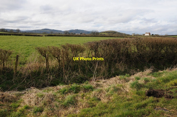 Photo 6"x4" Farmland at Lower Ley Oakle Street c2013