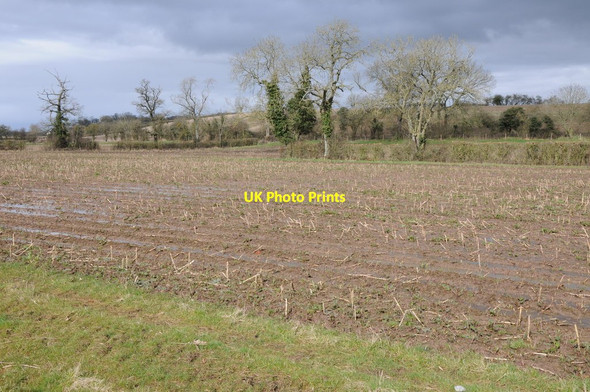 Photo 6"x4" Arable land near Westbury-on-Severn Stantway c2013
