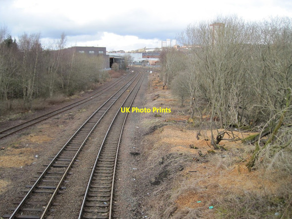 Photo 6"x4" Stepps-Springburn railway line, Barnhill Glasgow c2013