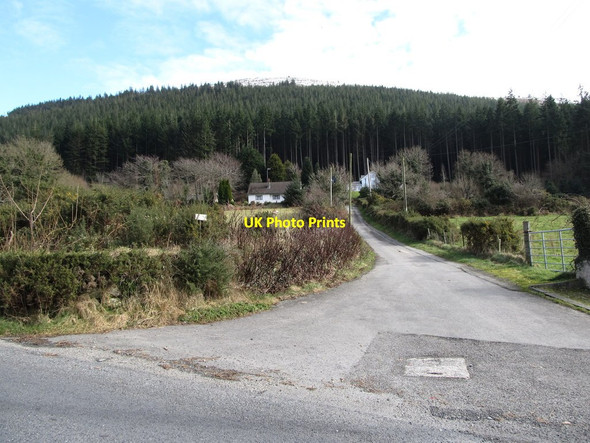 Photo 6"x4" Road leading to Rostrevor Forest Rostrevor c2013