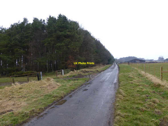 Photo 6"x4" Forest and pasture South Charlton c2013