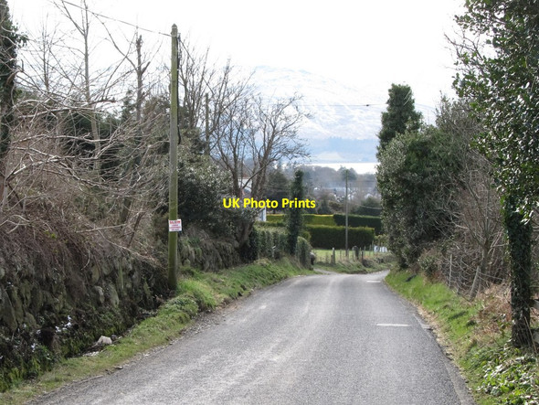 Photo 6"x4" Newtown Road descending into Rostrevor Rostrevor c2013