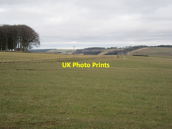 Photo 6"x4" Fields, Redpath Longformacus c2013