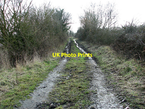Photo 6"x4" Birch Way becomes a track Thwaite St Mary c2013