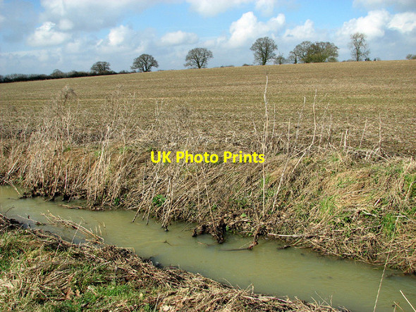 Photo 6"x4" Field south of Abbey Farm, Mundham Mundham c2013
