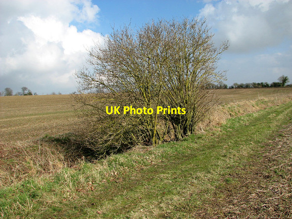 Photo 6"x4" Fields east of Seething Seething c2013