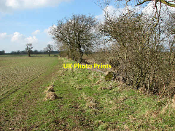 Photo 6"x4" Footpath from Mundham to Seething Seething c2013