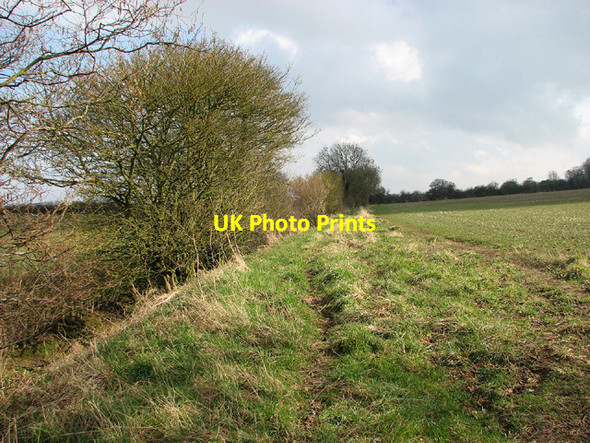 Photo 6"x4" Narrow path from Seething to Mundham Seething c2013