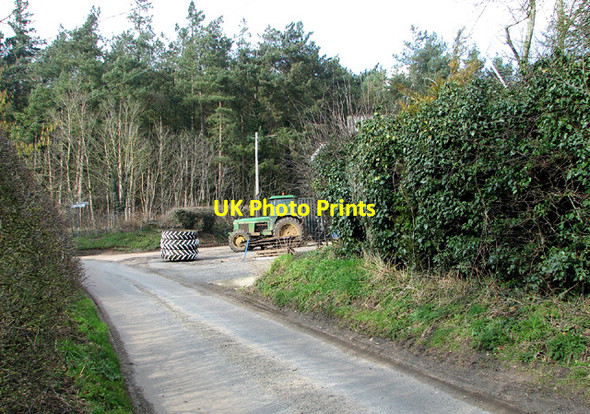 Photo 6"x4" Mill Lane past Busseybridge Farm, Mundham Thurton c2013