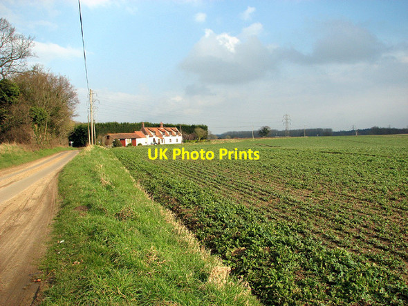Photo 6"x4" Spring crop by Red Lion House, Thurton Mundham c2013