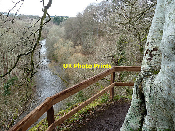 Photo 6"x4" A spectacular corner on the Diamond Jubilee Path at Redpath Redpath\/NT5835 c2013