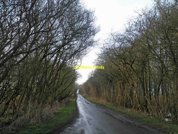 Photo 6"x4" Minor road through a wood Croxton\/TA0912 c2013