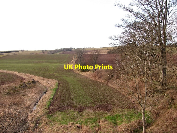 Photo 6"x4" Newly sown field, Drummy Fowlis Wester c2013