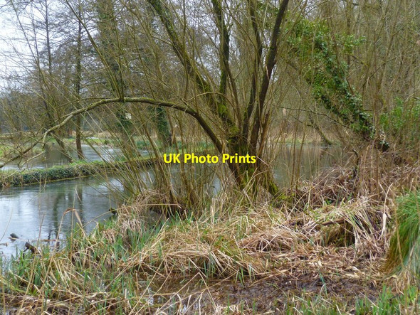 Photo 6"x4" Itchen Way (87) Colden Common c2013