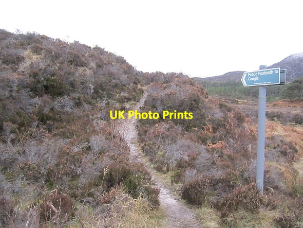 Photo 6"x4" Path, Glen Affric Loch Pollain Buidhe c2013