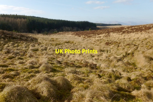 Photo 6"x4" The course of a burn Craighat c2013