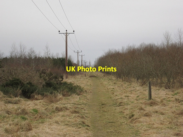 Photo 6"x4" Trackbed, Berwickshire Railway Gordon\/NT6443 c2013 P1