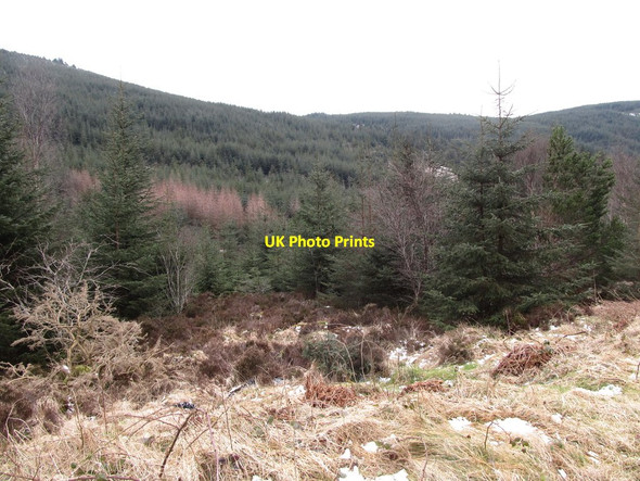 Photo 6"x4" View east across the Glen River valley Rostrevor c2013